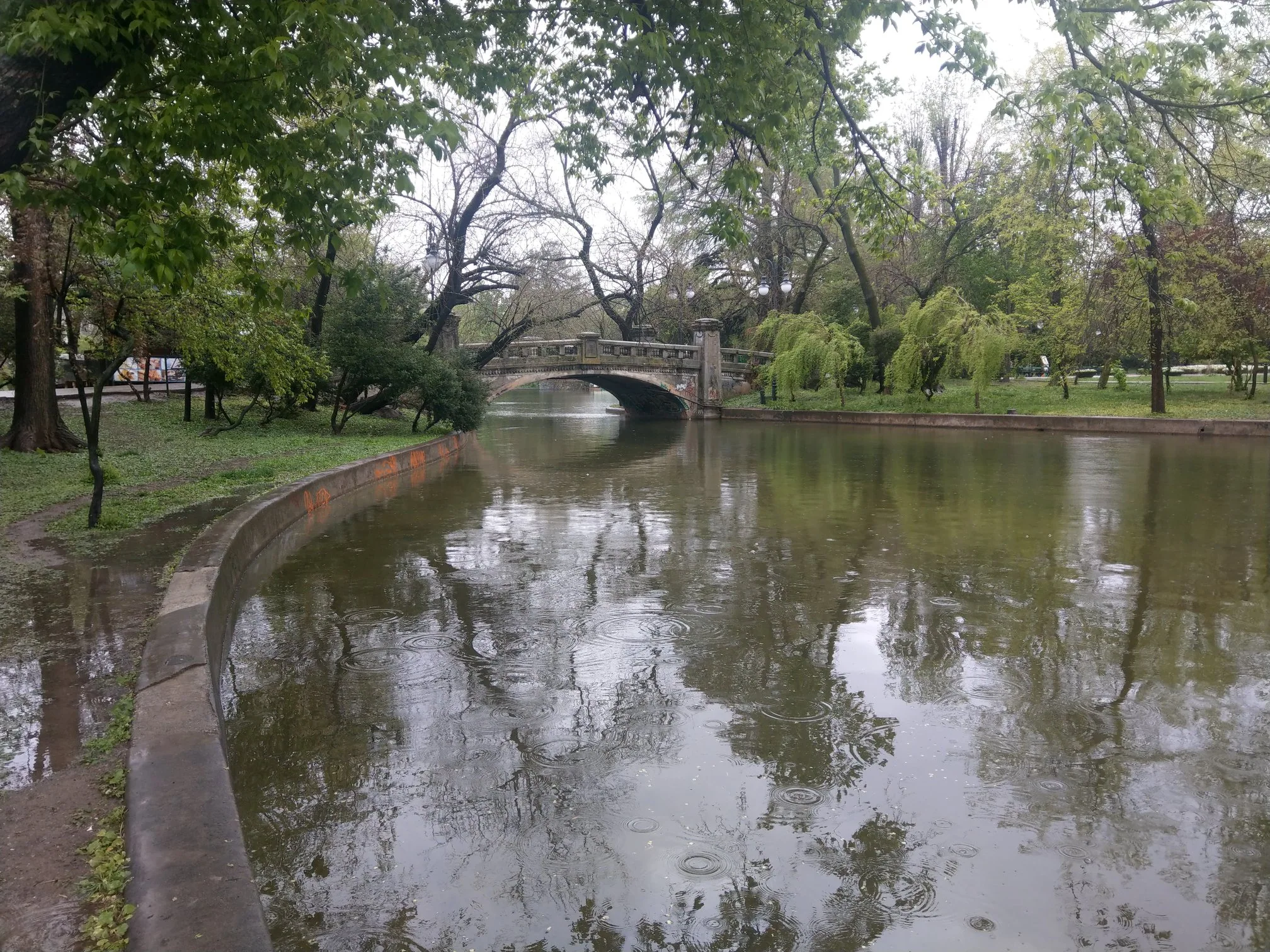 Trees and a small bridge reflected in a park lake