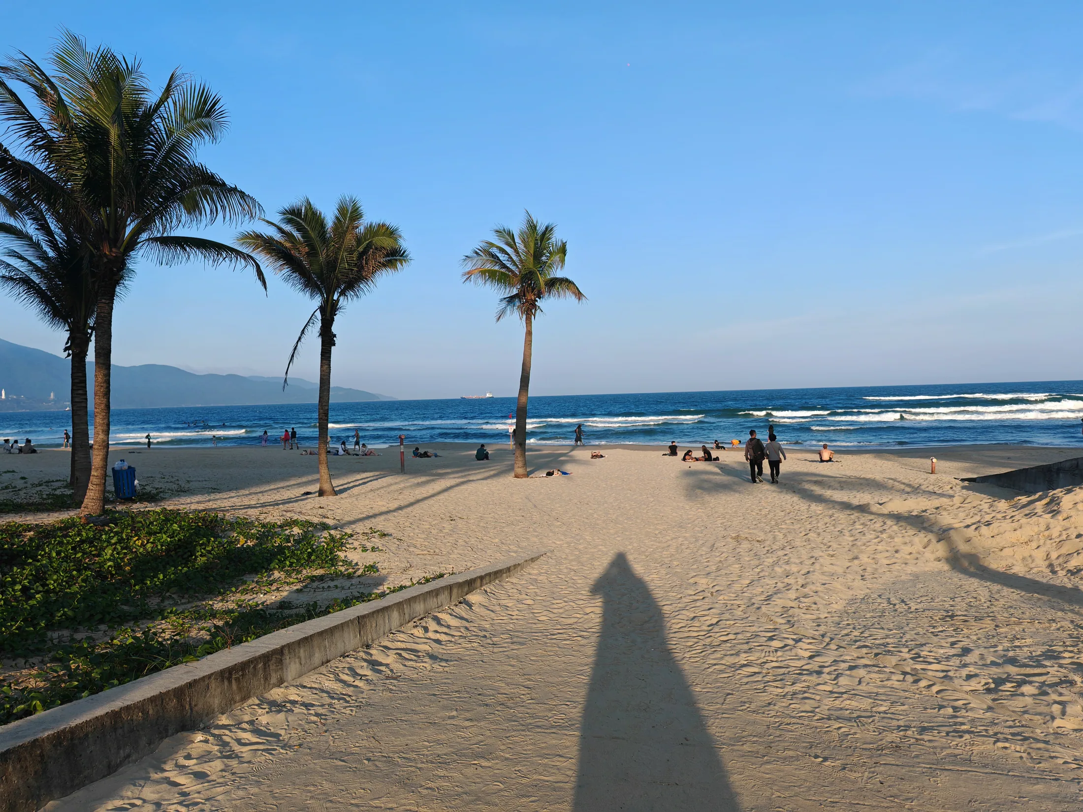 Palm trees and a sandy path to the sea in Da Nang